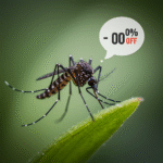Mosquito Kod Rabatowy: Twój Klucz do Świata Modnych Odkryć w Lepszej Cenie