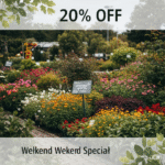 Focus Garden Kod Rabatowy: Twój Klucz do Wymarzonego Ogrodu w Niższej Cenie!